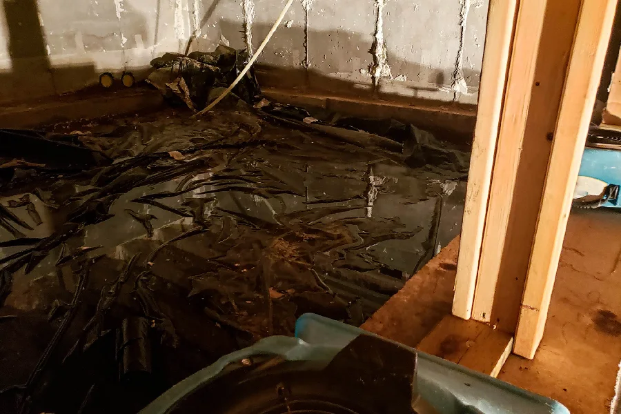 Top-notch Crawl Space Waterproofing in Roebuck, SC
